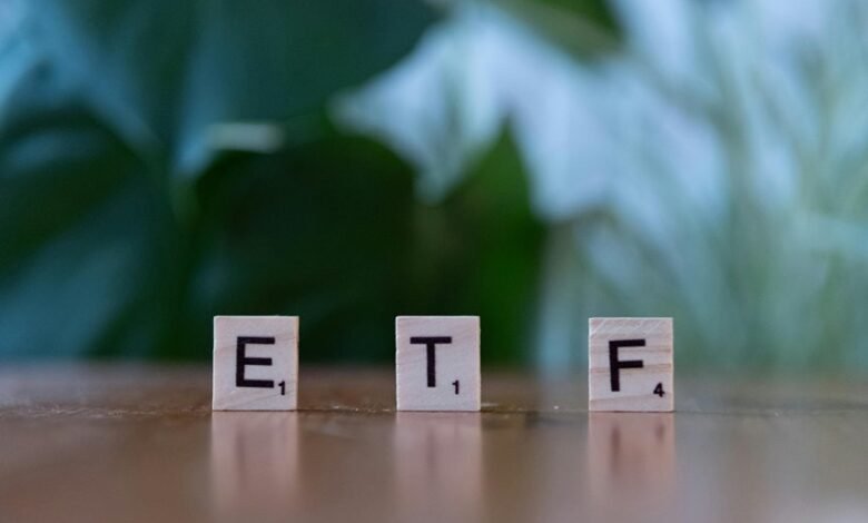 mutf_in mid cap investment