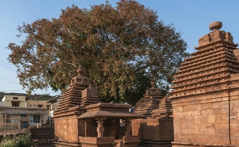 mutf in nipp indi inde