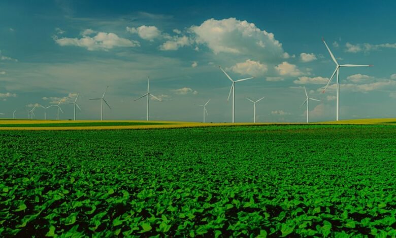 cloud innovation driving force