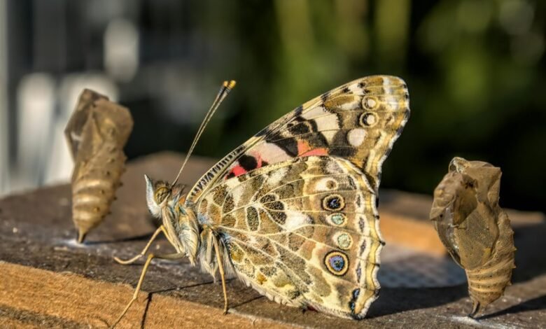 financial process transformation strategies