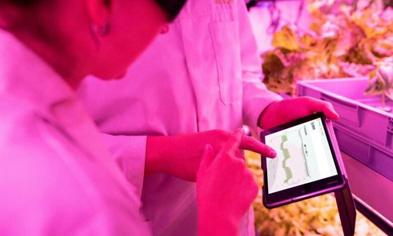 digital growth maximization tools